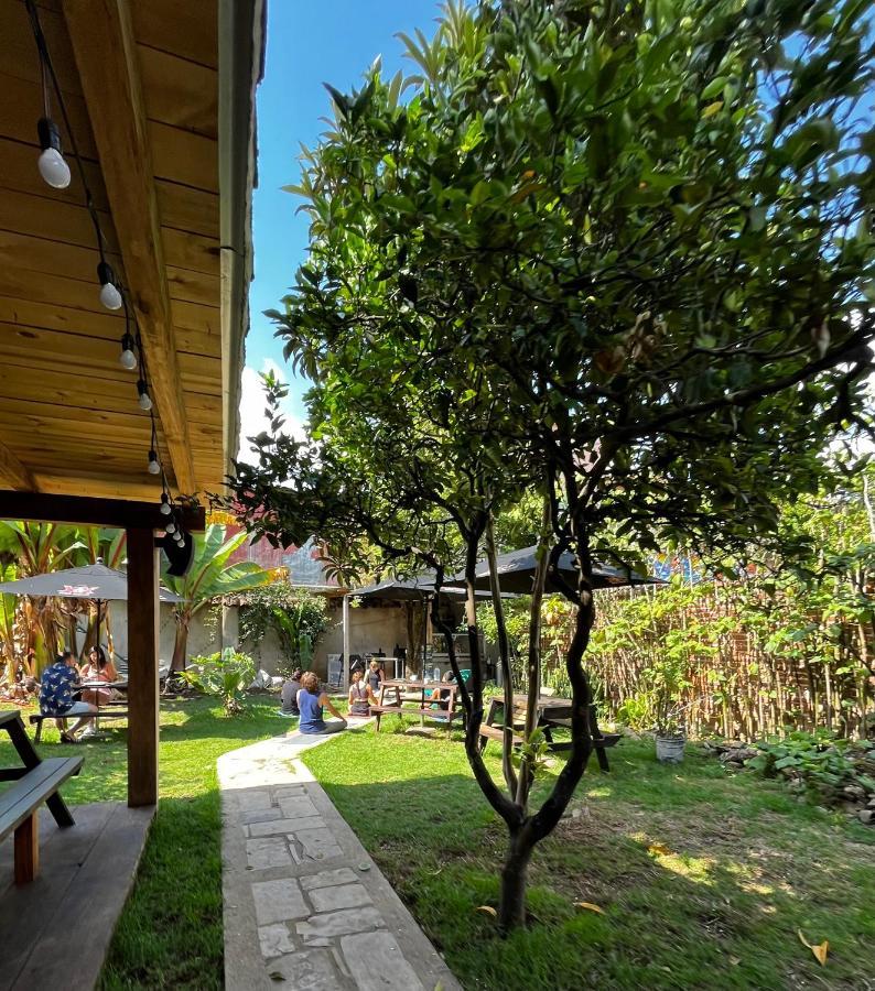 San Cristóbal de Las Casas The Coffee Bean Hostel מראה חיצוני תמונה