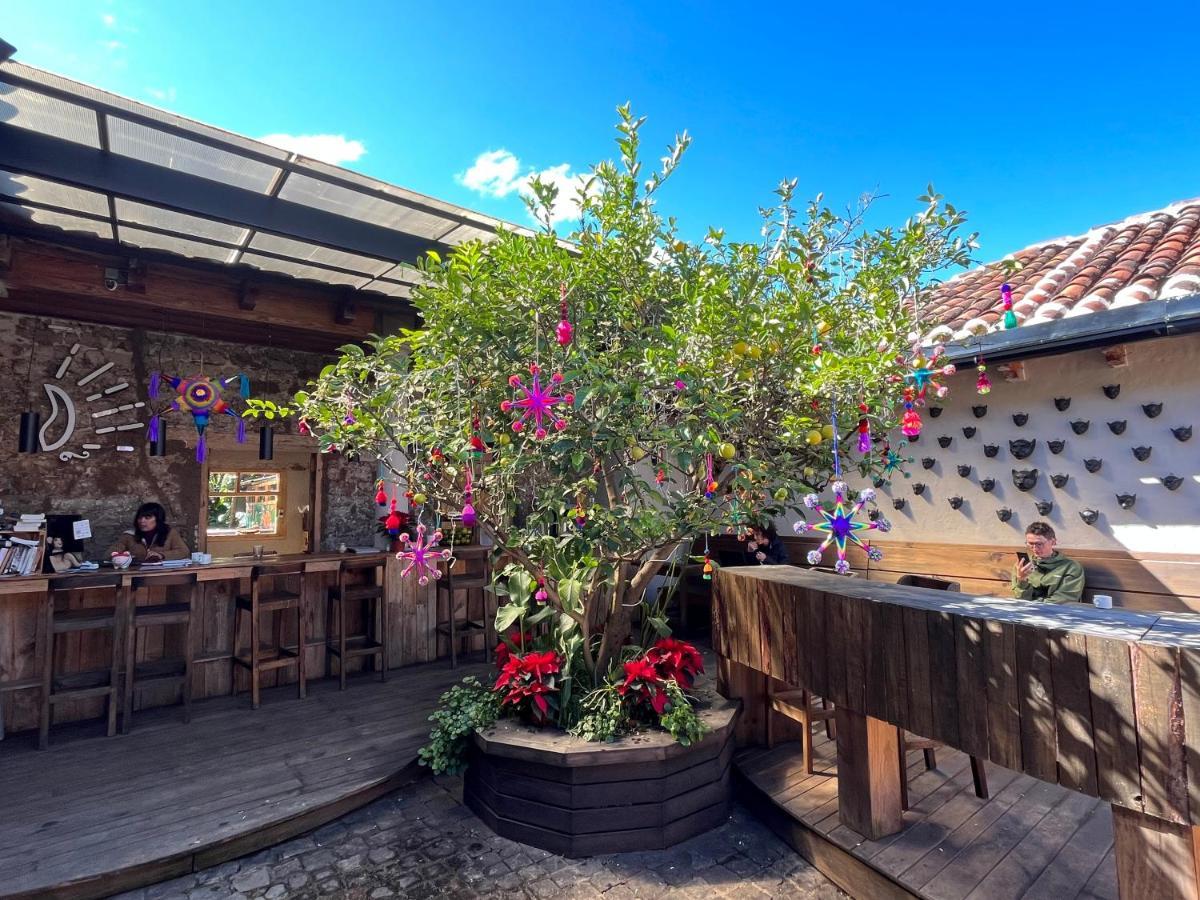 San Cristóbal de Las Casas The Coffee Bean Hostel מראה חיצוני תמונה