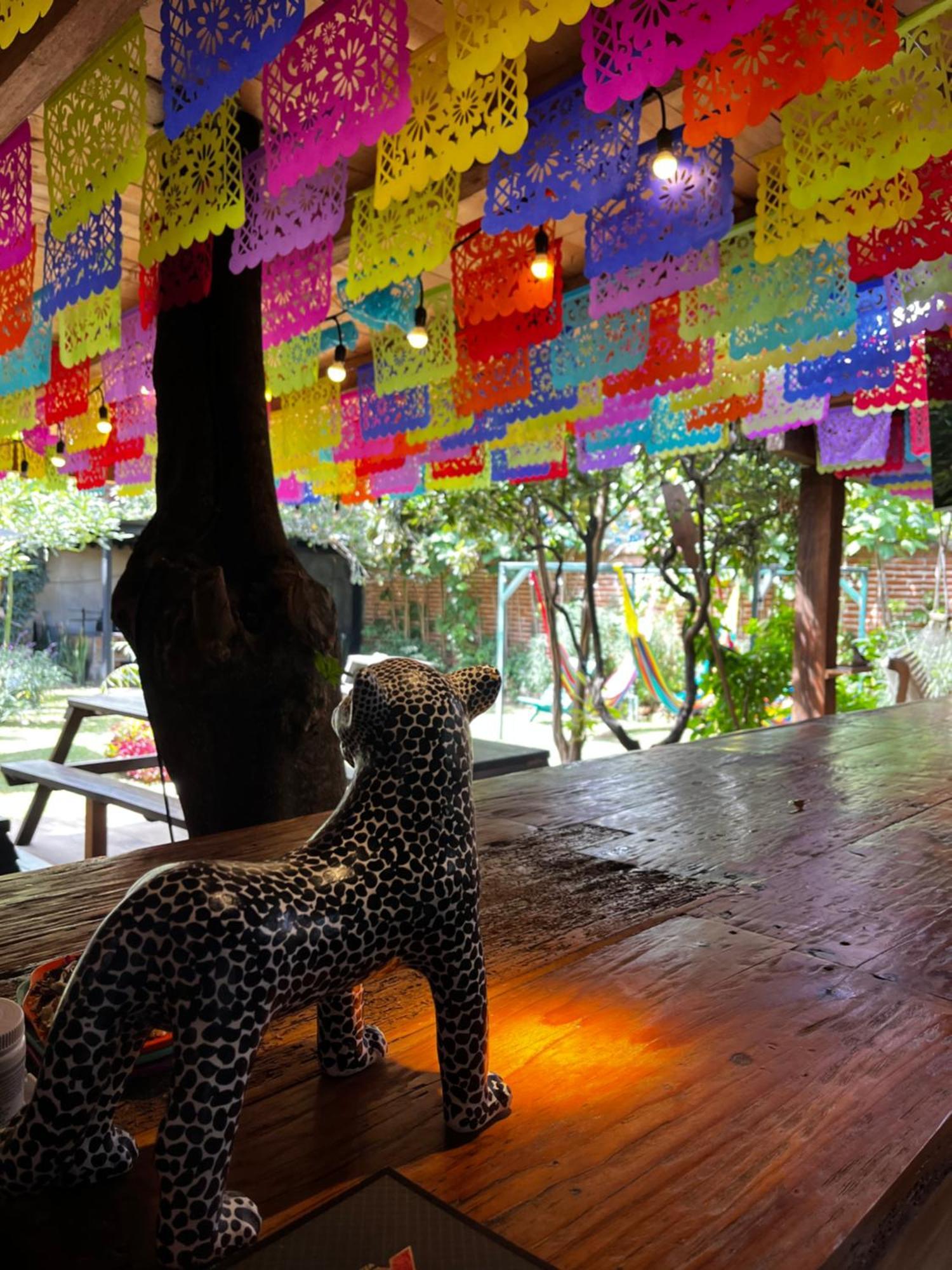 San Cristóbal de Las Casas The Coffee Bean Hostel מראה חיצוני תמונה