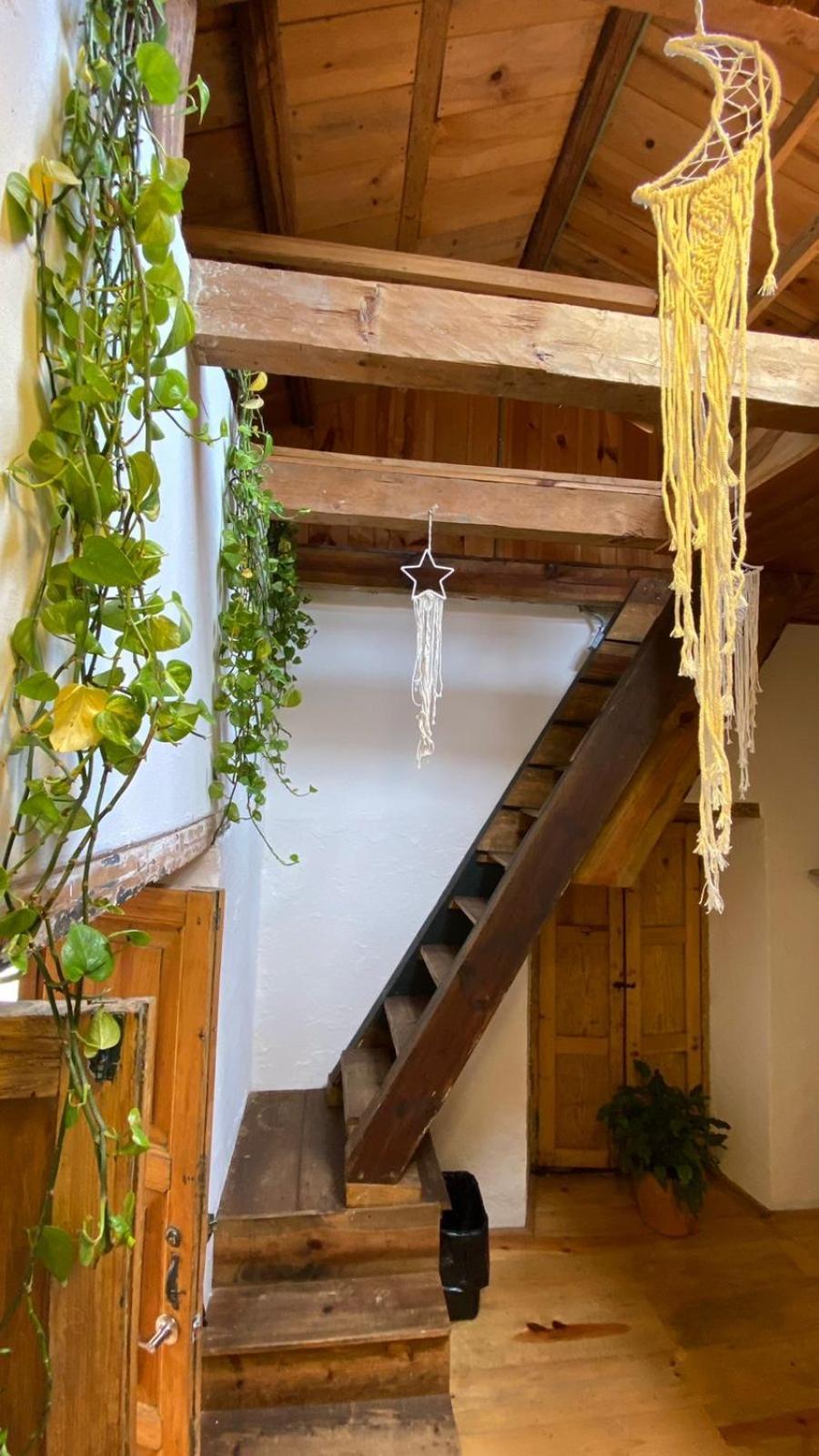 San Cristóbal de Las Casas The Coffee Bean Hostel מראה חיצוני תמונה